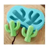 Forma din silicon, Cactusi