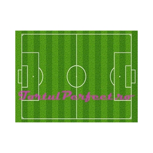 Imagine comestibila "Fotbal"