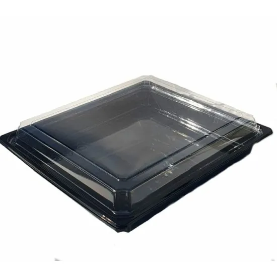 Caserola / tavita 21.6x13.6x4 cm, set 10 buc