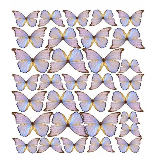 Imagine comestibila "Fluturi"