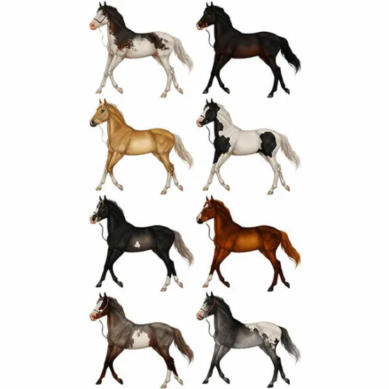 Imagine comestibila  "Cai"