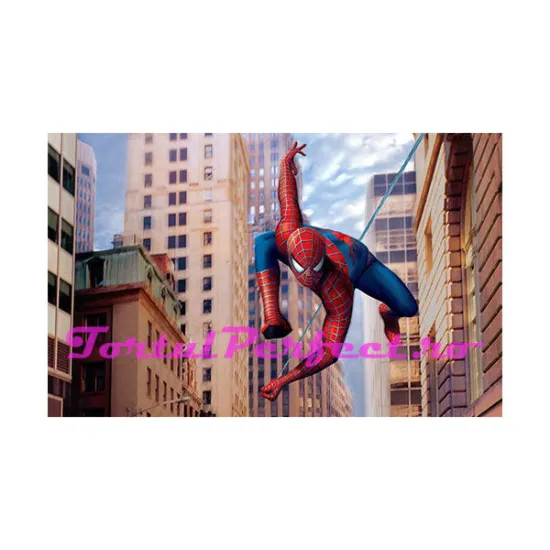 Imagine comestibila "Spiderman"