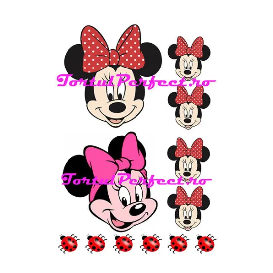 Imagine comestibila "Minnie Colaj"