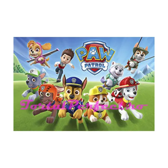 Imagine comestibila "Patrula Catelusilor"