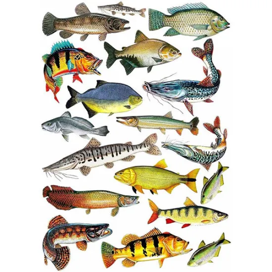 Imagine comestibila "Pesti"