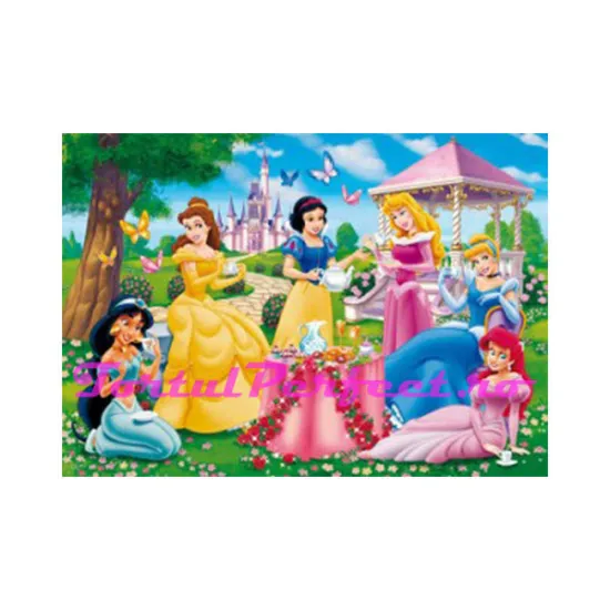 Imagine comestibila "Printesele Disney"