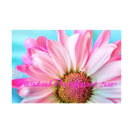 Imagine comestibila "Flori"