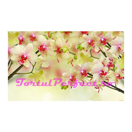 Imagine comestibila "Flori"