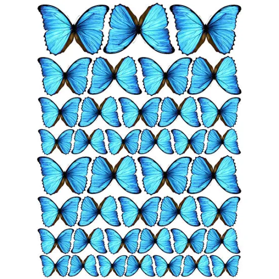 Imagine comestibila "Fluturi",