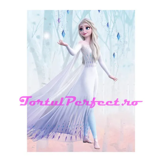Imagine comestibila "Frozen 2"