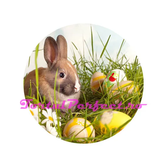 Imagine comestibila "Iepurasul de Paste"