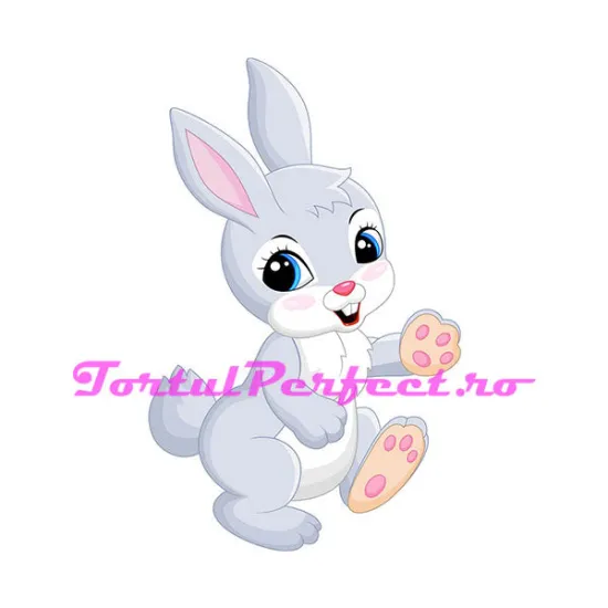 Imagine comestibila "Iepurasul de Paste"
