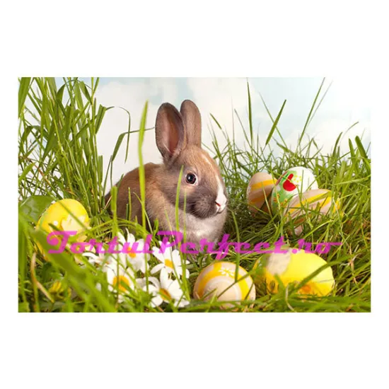 Imagine comestibila "Iepurasul de Paste"