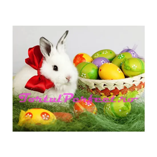 Imagine comestibila "Iepurasul de Paste"