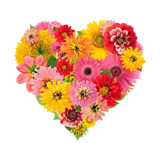 Imagine comestibila "Indragostiti"