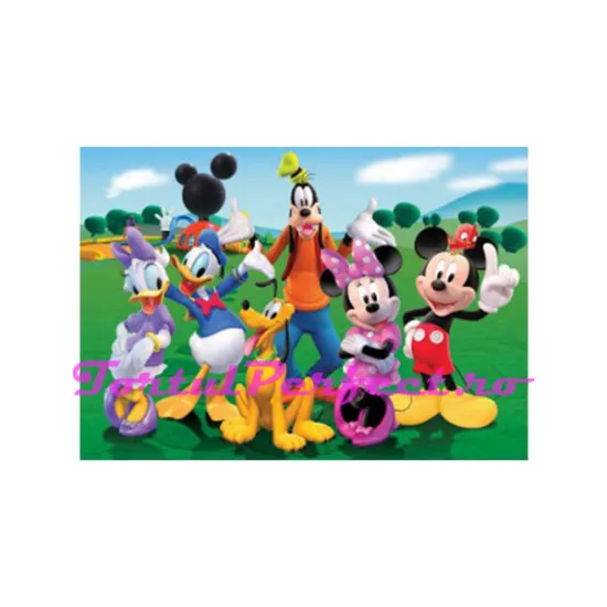 Imagine comestibila "Mickey"