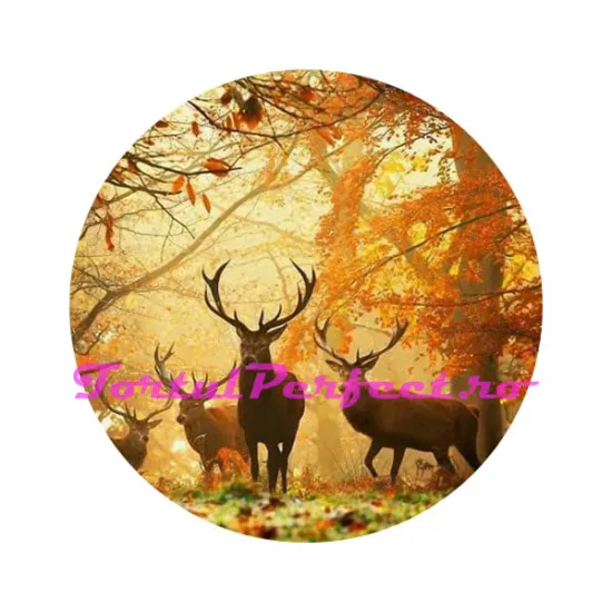 Imagine comestibila "Cerbi"