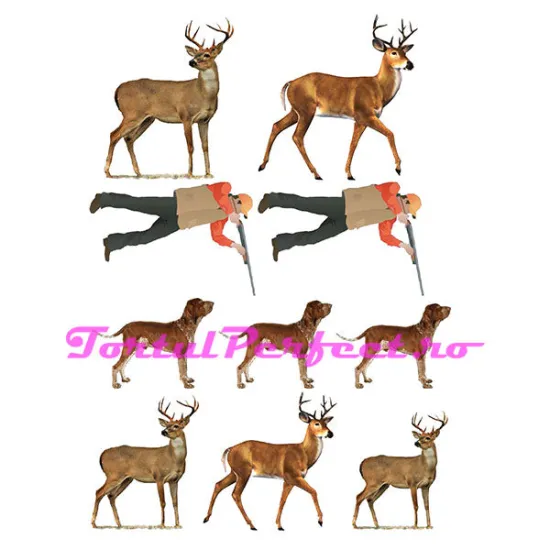 Imagine comestibila "Colaj La Vantaoare"