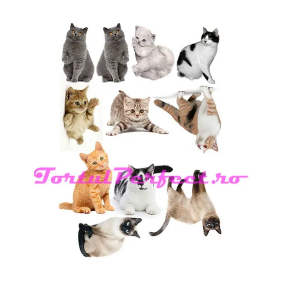 Imagine comestibila "Colaj Pisici"