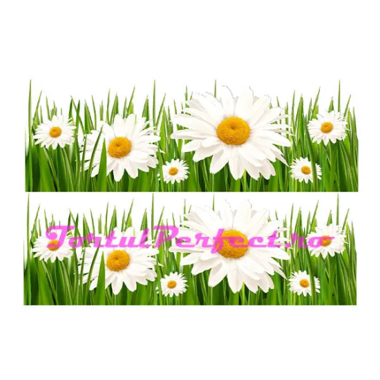 Imagine comestibila "Flori Musetel"