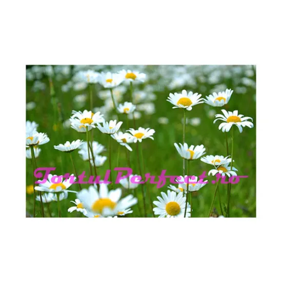 Imagine comestibila "Flori"