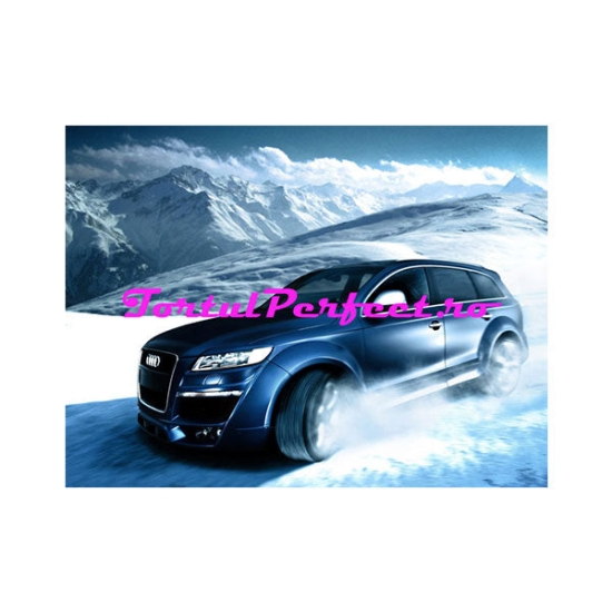 Imagine comestibila "Audi"