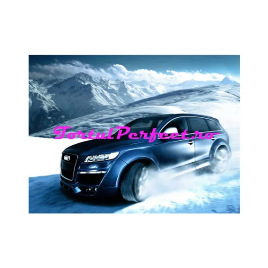 Imagine comestibila "Audi"