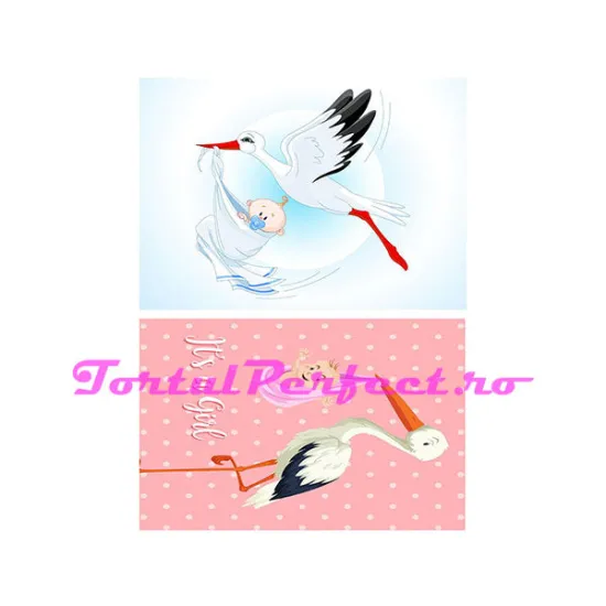 Imagine comestibila "Barza"