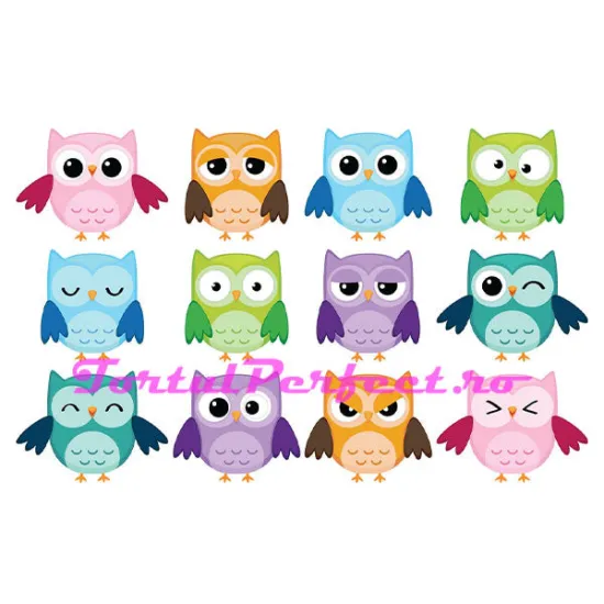 Imagine comestibila "Bufnite"