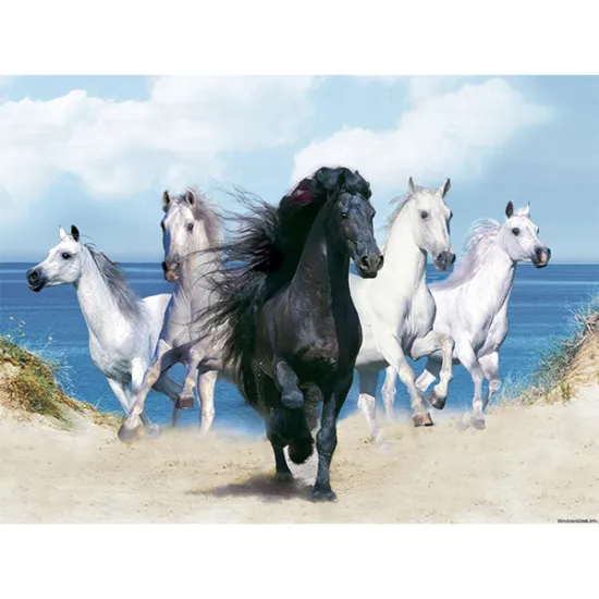 Imagine comestibila "cal/cai/calut"