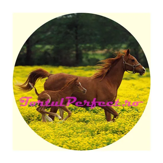 Imagine comestibila "Cal"