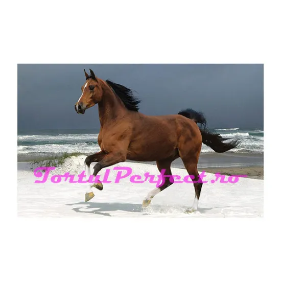 Imagine comestibila "Calut in Mare"