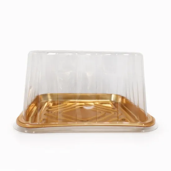 Set 10 tavite cu capac, 22x22x9.5 cm