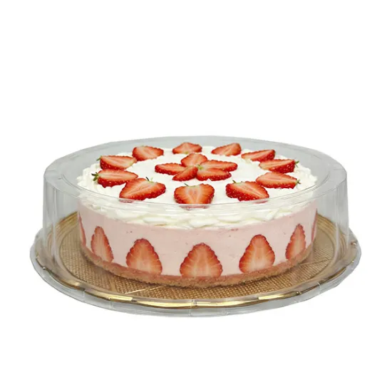 Set 10 caserole aurii cu capac, 24x24x8 cm