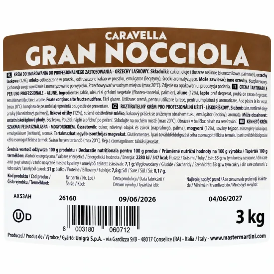 Crema tartinabila cu alune de padure Master Martini Gran Nocciola 3 kg