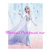 imagine comestibila “frozen 2”